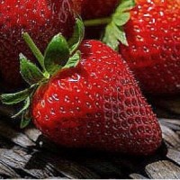 Саженцы клубника Лейри Саженцы клубника Лейри