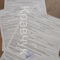 Самое главное, чтобы рассада была здорова!!!