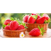 Саженцы клубники ранних сортов
